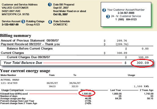 Utility bill sample