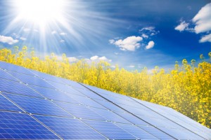sunmetrix solar panel in a field