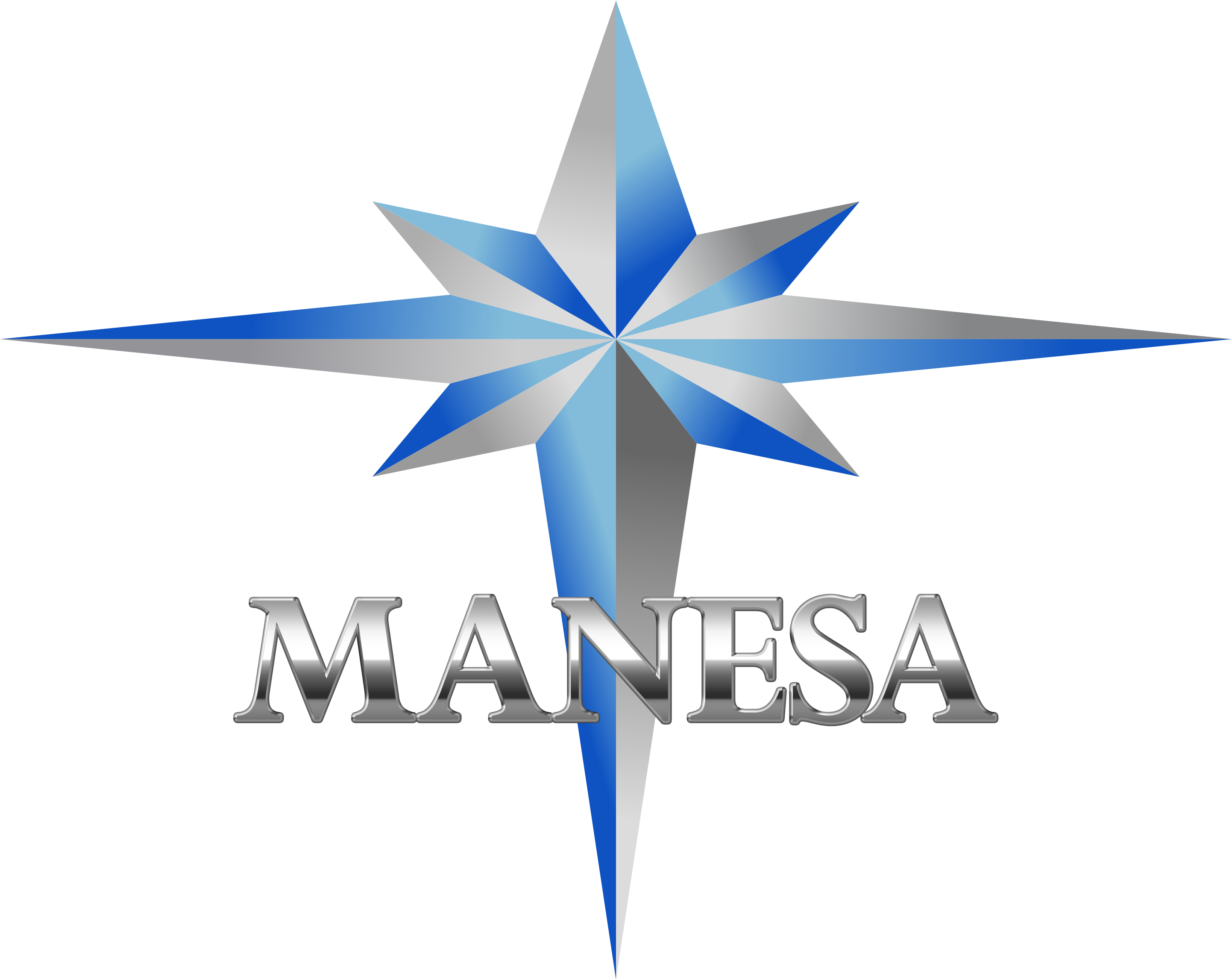 MANESA - logo