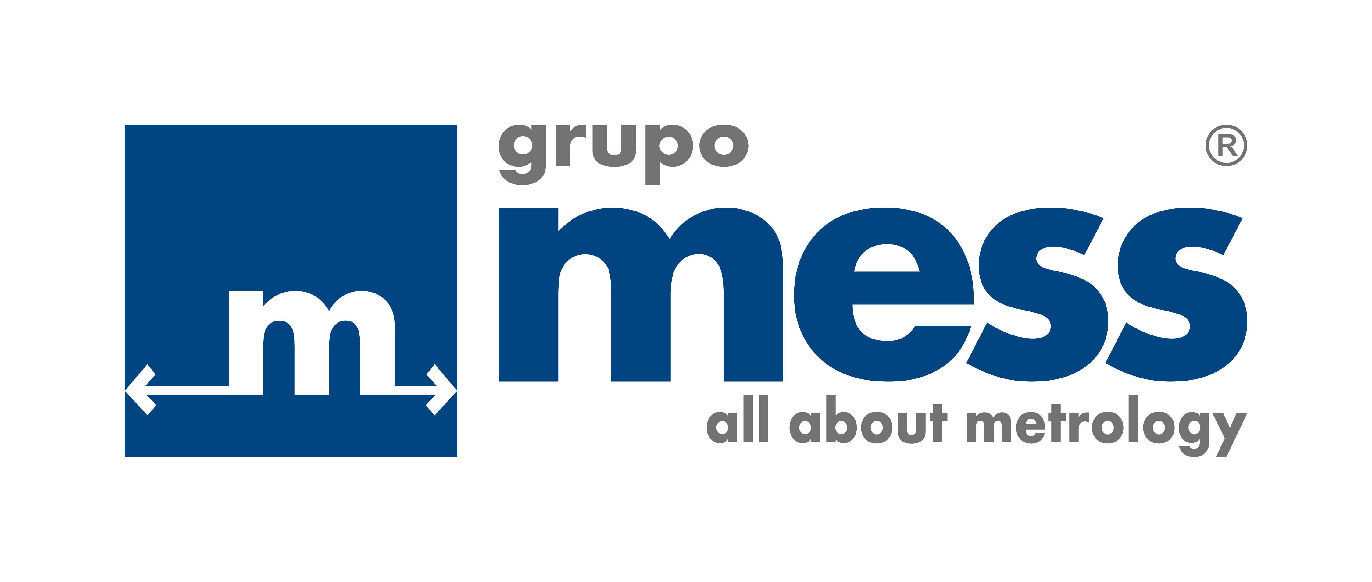 Grupo Mess - logo