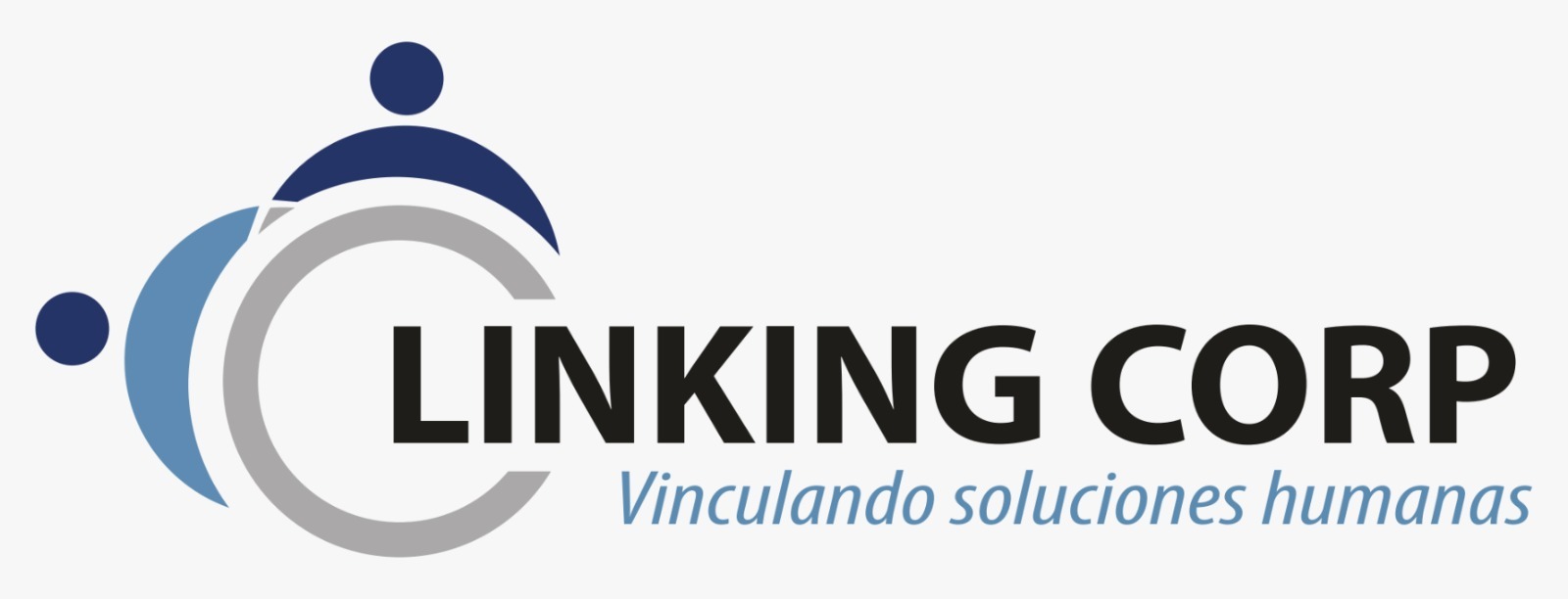 LINKING CORP - logo