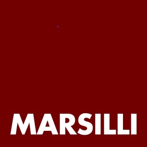 MARSILLI MEXICO - logo