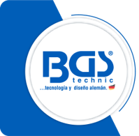 BGS technic de México SA de CV - logo