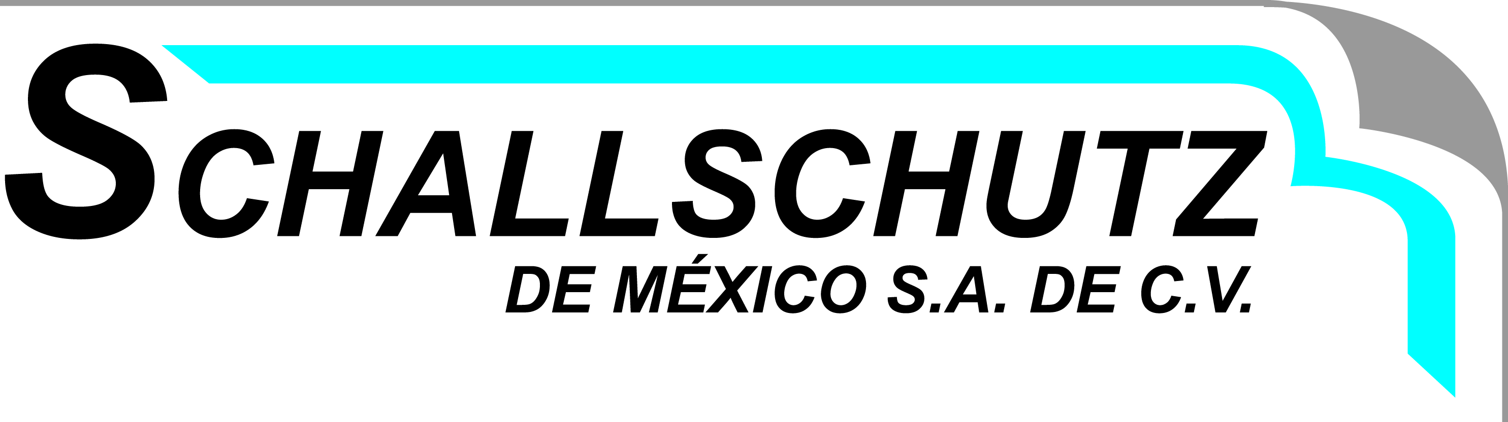 SchallSchutz de México - logo