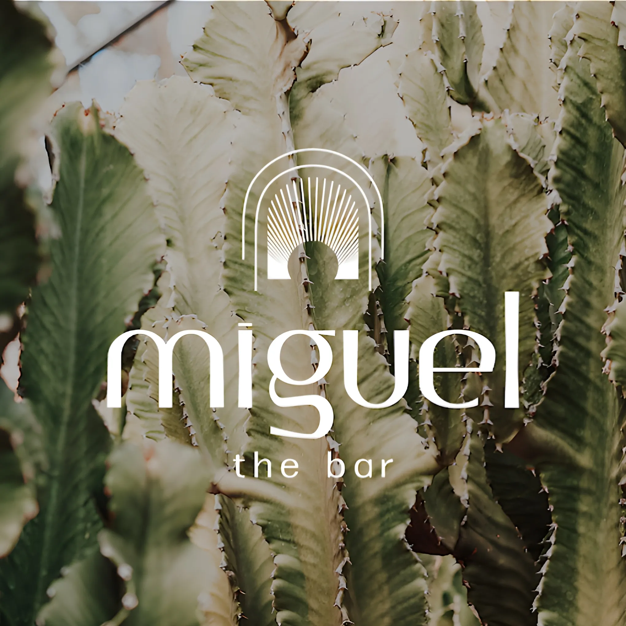 Miguel The Bar in Corinth