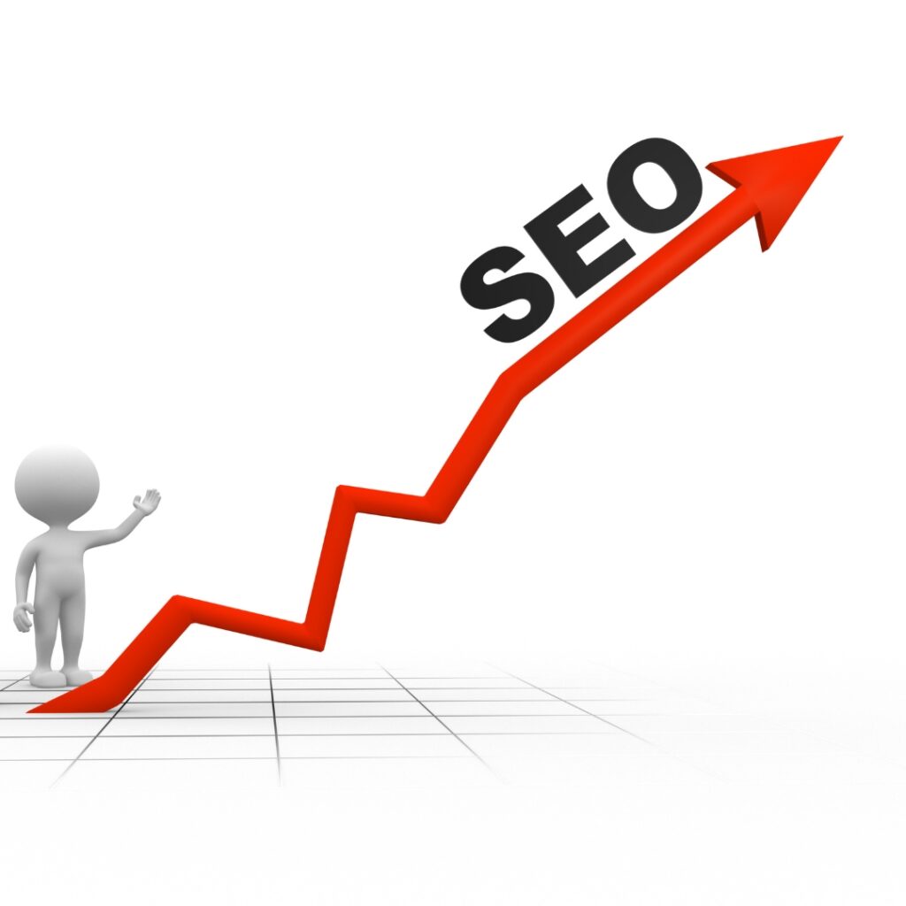 Tampa SEO