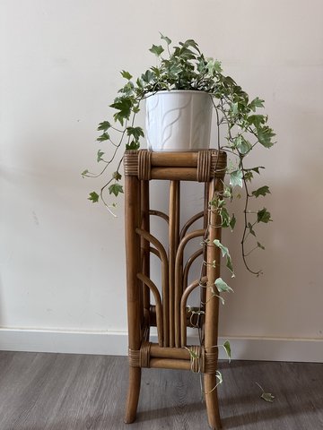 Rattan bamboo plant table 
