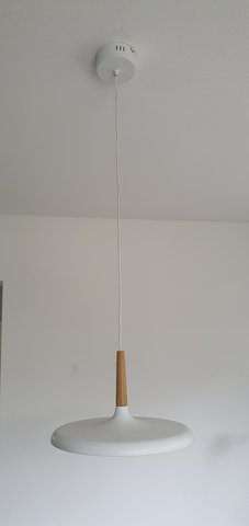 Dimbare led hanglamp 30cm