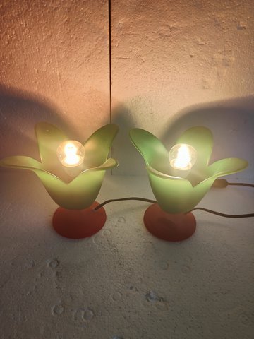 Vandeheg tulip lamps