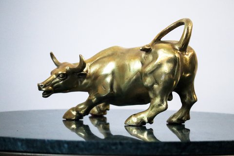 The Bull of Wall Street beeld