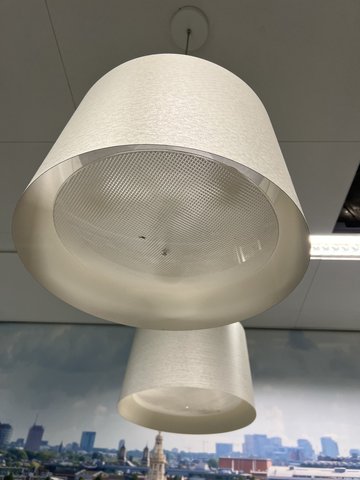 Foscarini Twiggy hanging lamp