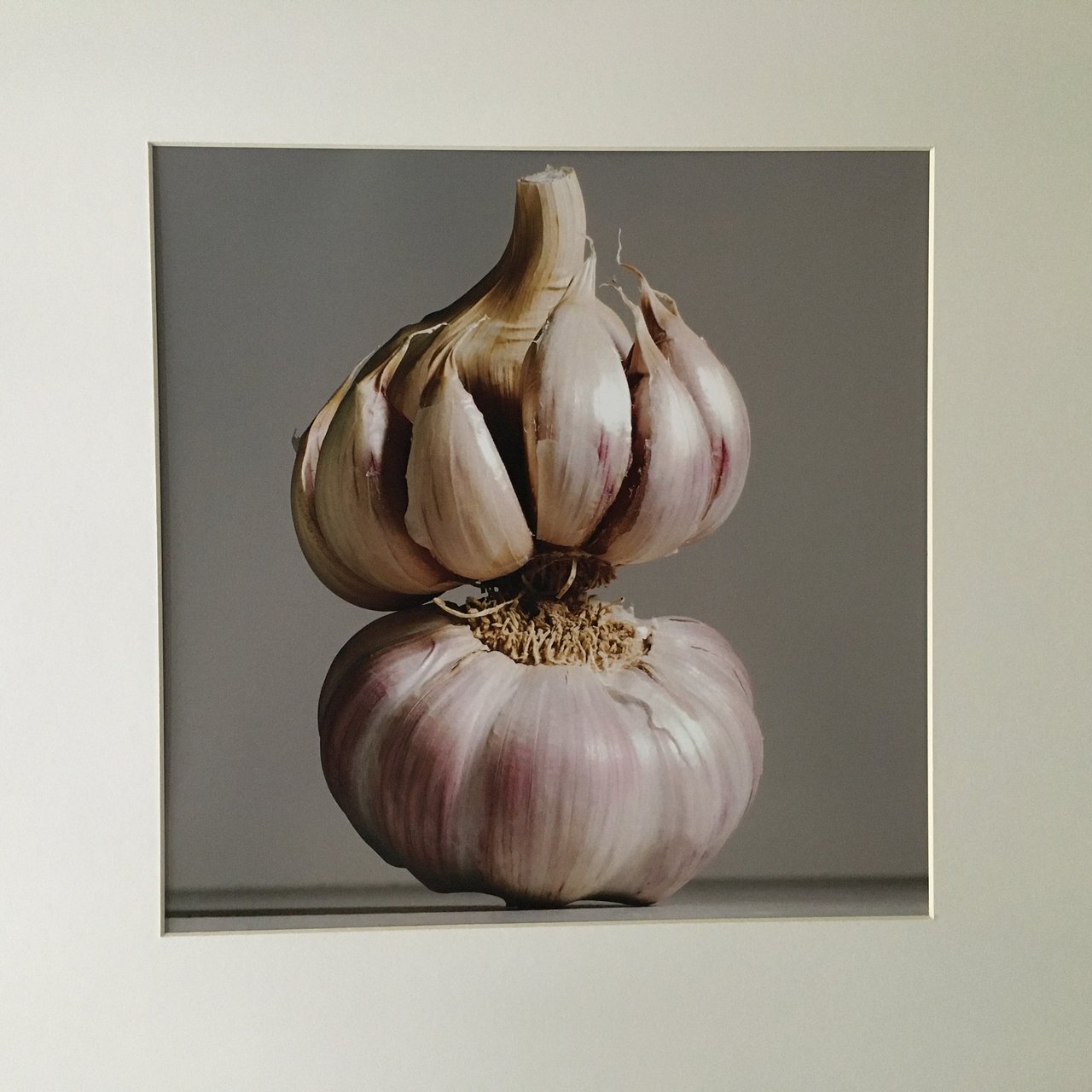 Image 2 of Bart Nieuwenhuijs - Garlic