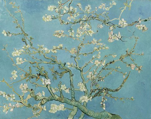 Vincent van Gogh ----Japanische Mandelblüte – groß