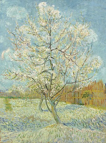 Vincent van Gogh – Der rosa Pfirsichbaum