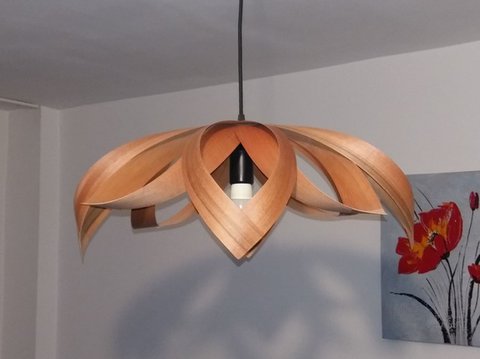 Design houten hanglamp