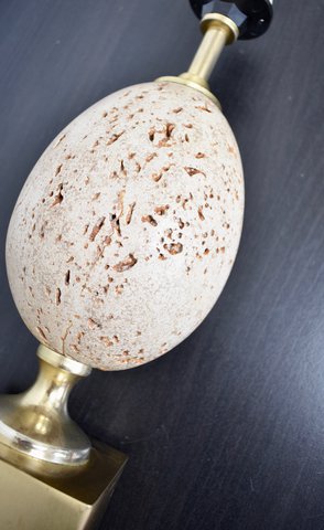 Sixties lamp with ostrich egg