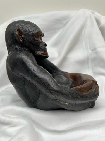 Grote bronzen aap