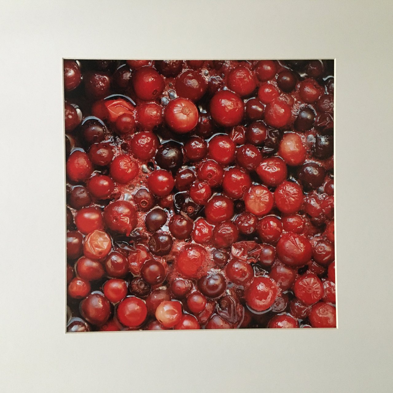 Image 3 of Bart Nieuwenhuijs - Cranberries