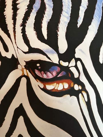 Patrick Denoun - Zebra
