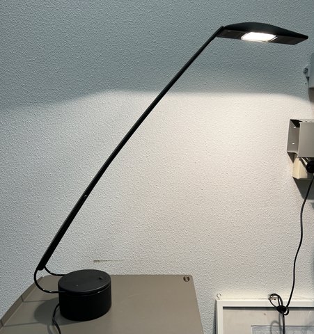 PAF Dove desk lamp