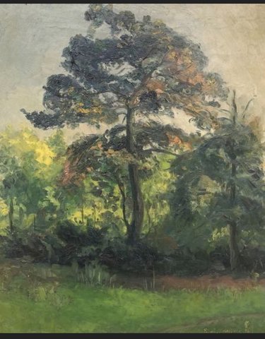 The Tree in the Woods - Paul Schultze