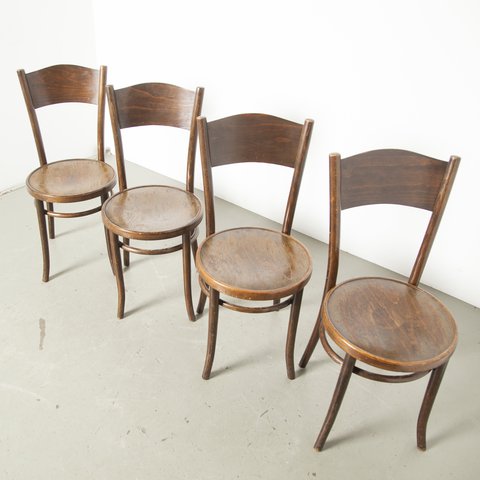 Cosmos cafe chair