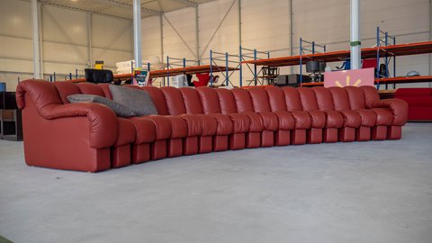 De Sede DS-600 Snake leather couch