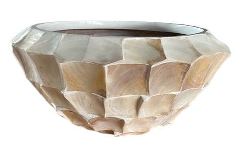 Eric Kuster shell bowl