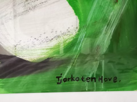 Tjarko ten Have - oil painting