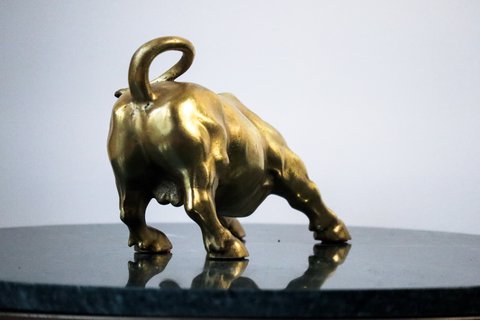 The Bull of Wall Street beeld