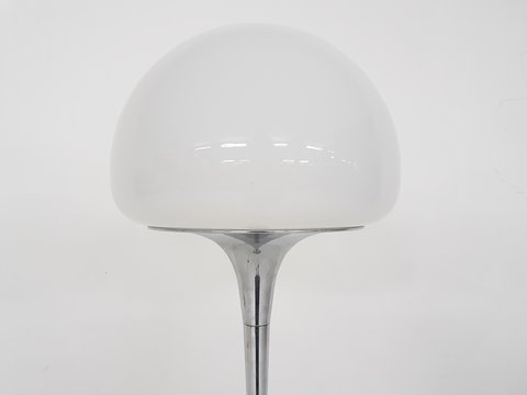 Opaline glass and chrome floor lamp by Goffredo Reggiani, Italy 1960's