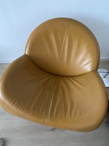 Leolux Papageno design armchair