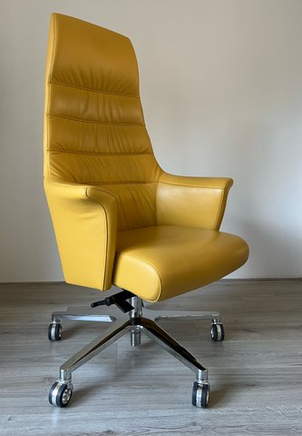 Sitland Of Course design office chair