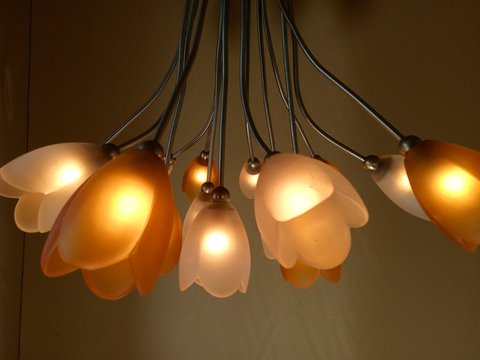 Harco Loor design hanglamp 15 tulpen