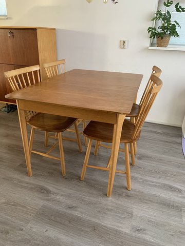 Pastoe extendable dining table