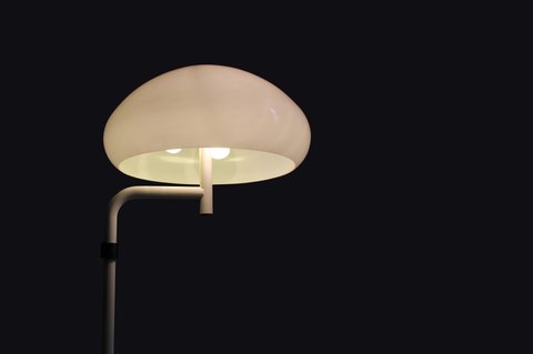 Vintage Raak Amsterdam mushroom lamp