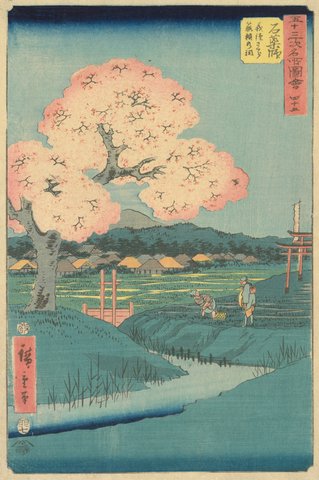 Utagawa Hiroshigi---Japanse Kersenboom--groot