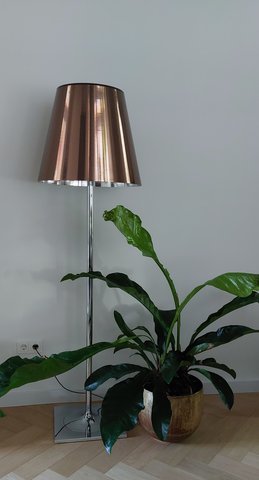 Flos staande designlamp