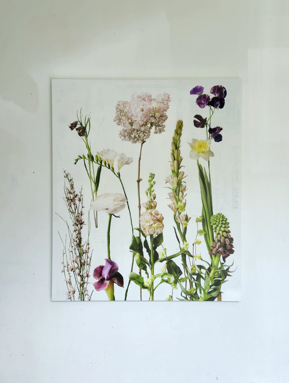 Image 2 of Wouter van Donselaar - Flowers 010