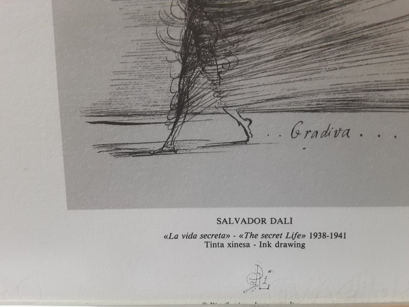 5 lithografieen van Salvador Dali paspartout ingelijst achter glas in zilverkleurige lijst