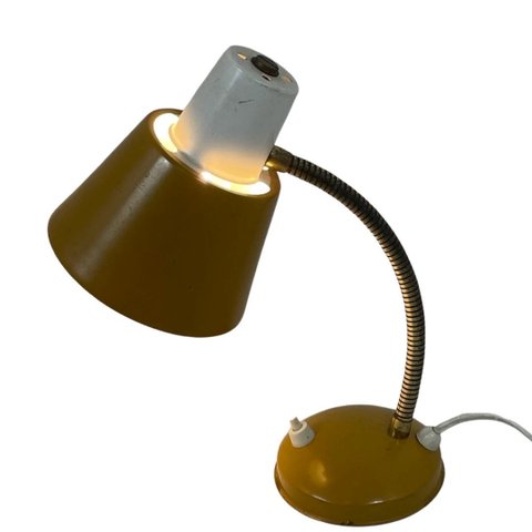 Hala Zeist - Bureaulamp met zwanenhals 