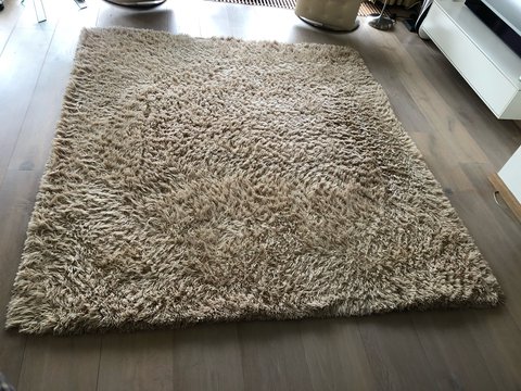 Design Millenerpoort Carpet