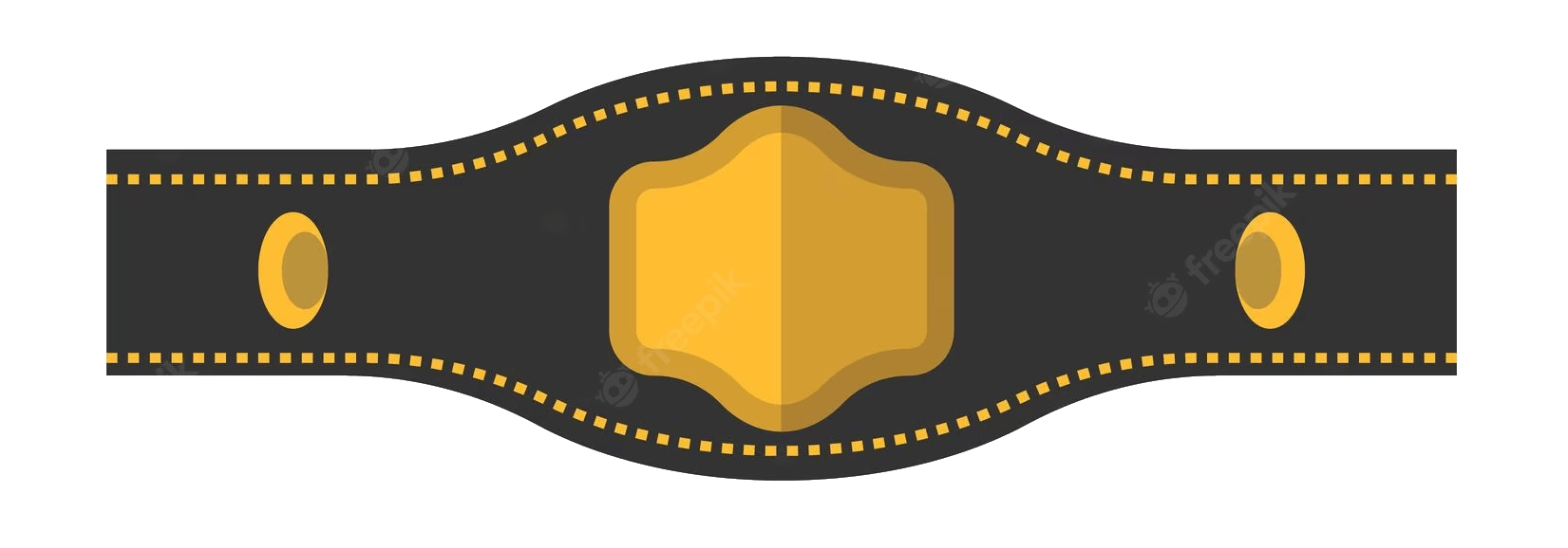 championship fight icon