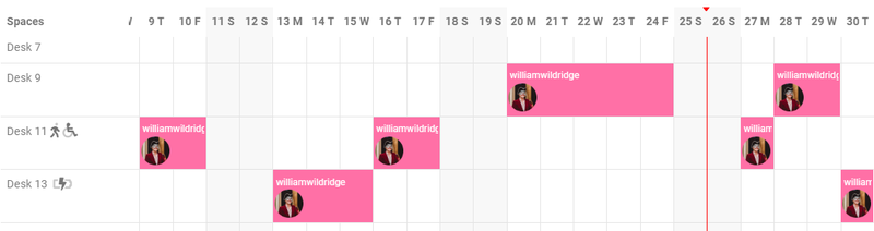 Past, present and future desk bookings