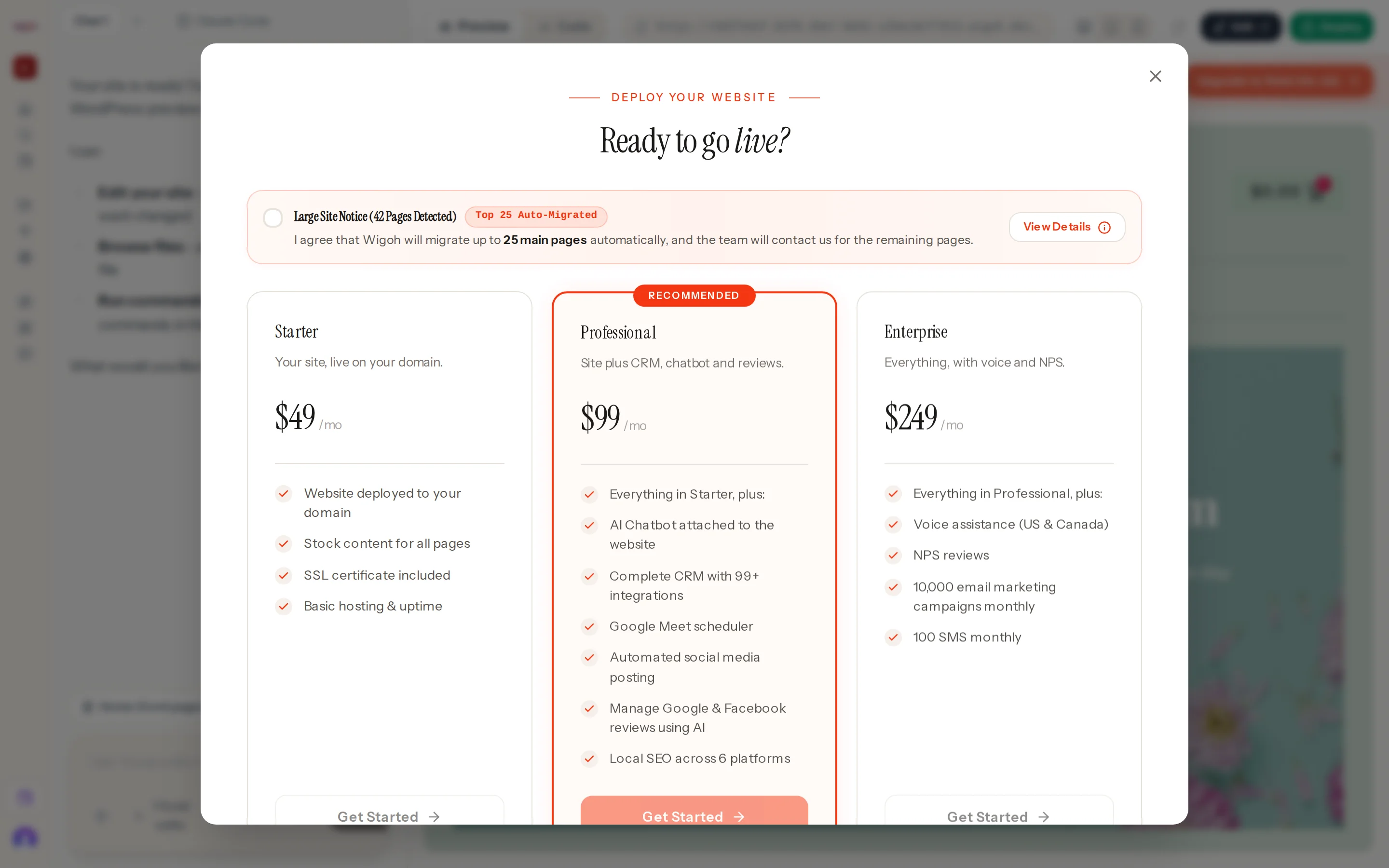 The plan chooser with the Large Site Notice and the Top 25 Auto-Migrated badge
