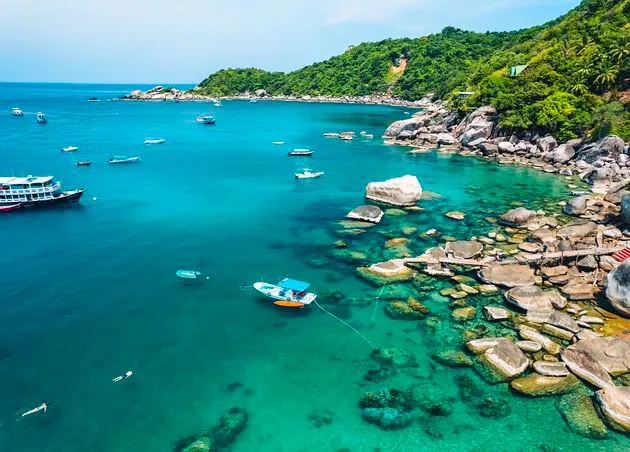 The Ultimate Dive Guide to Thailand: Koh Tao, Phi Phi, Phuket or Koh Samui
