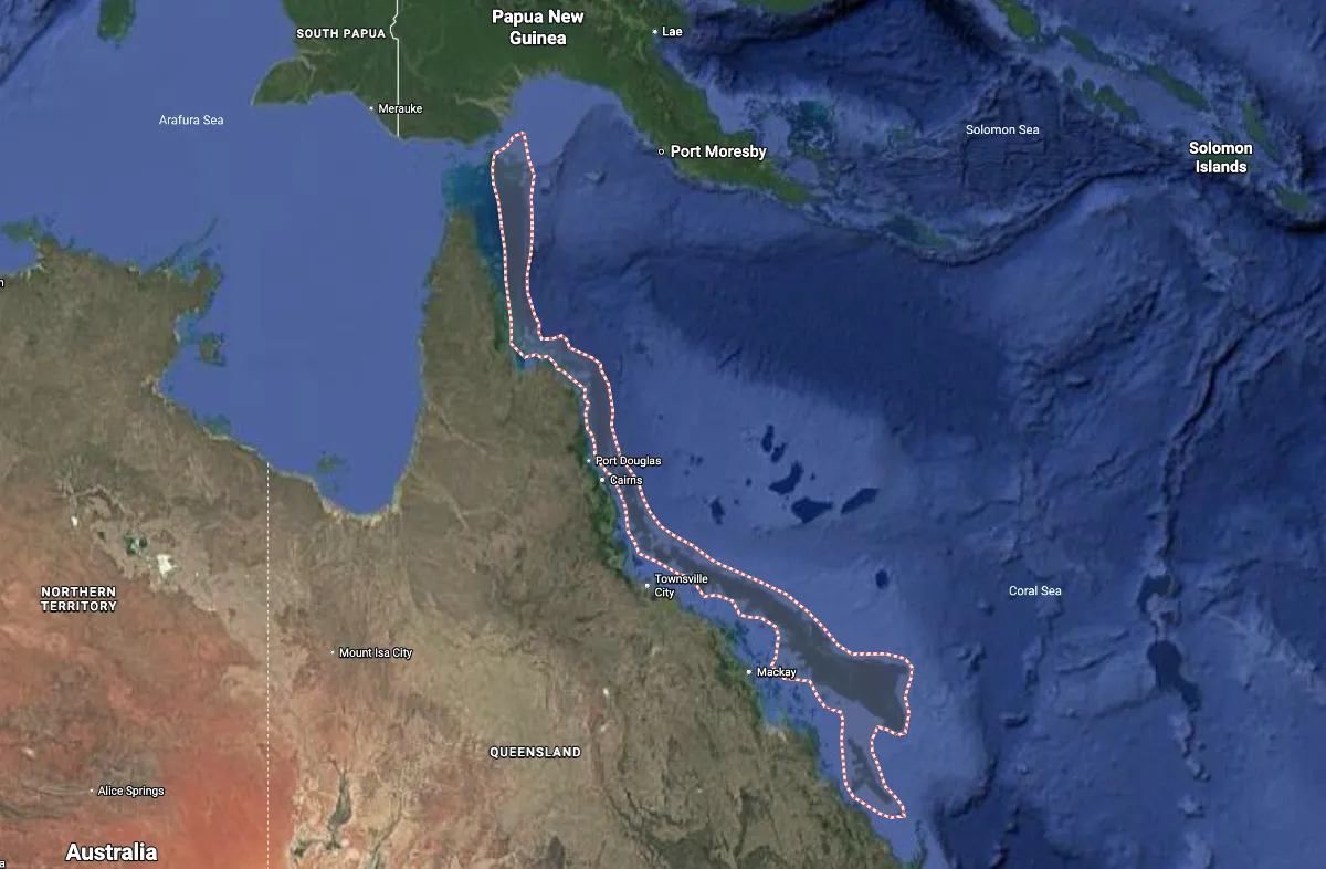 🌊 Our Unofficial Guide for Diving the Great Barrier Reef