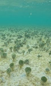Dive site photo 2