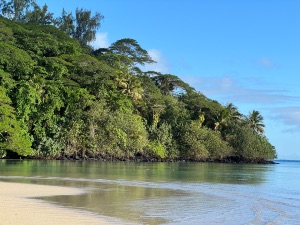 Dive site photo 1