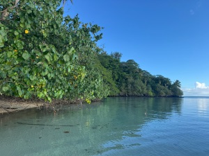 Dive site photo 4